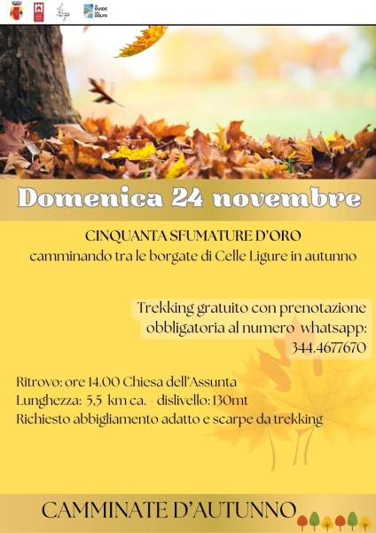 cinquanta_sfumature_doro_24.11