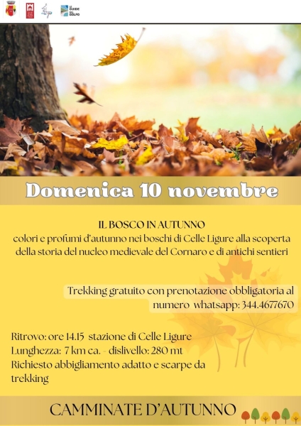 il_bosco_in_autunno_10.11